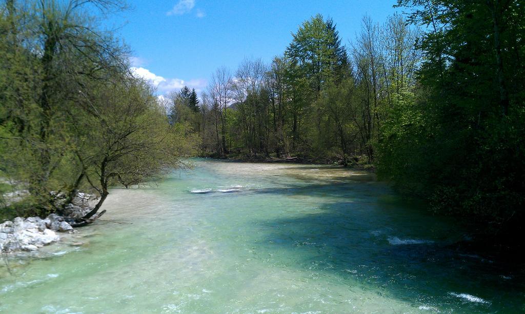 Apartment Bohinjko Dış mekan fotoğraf